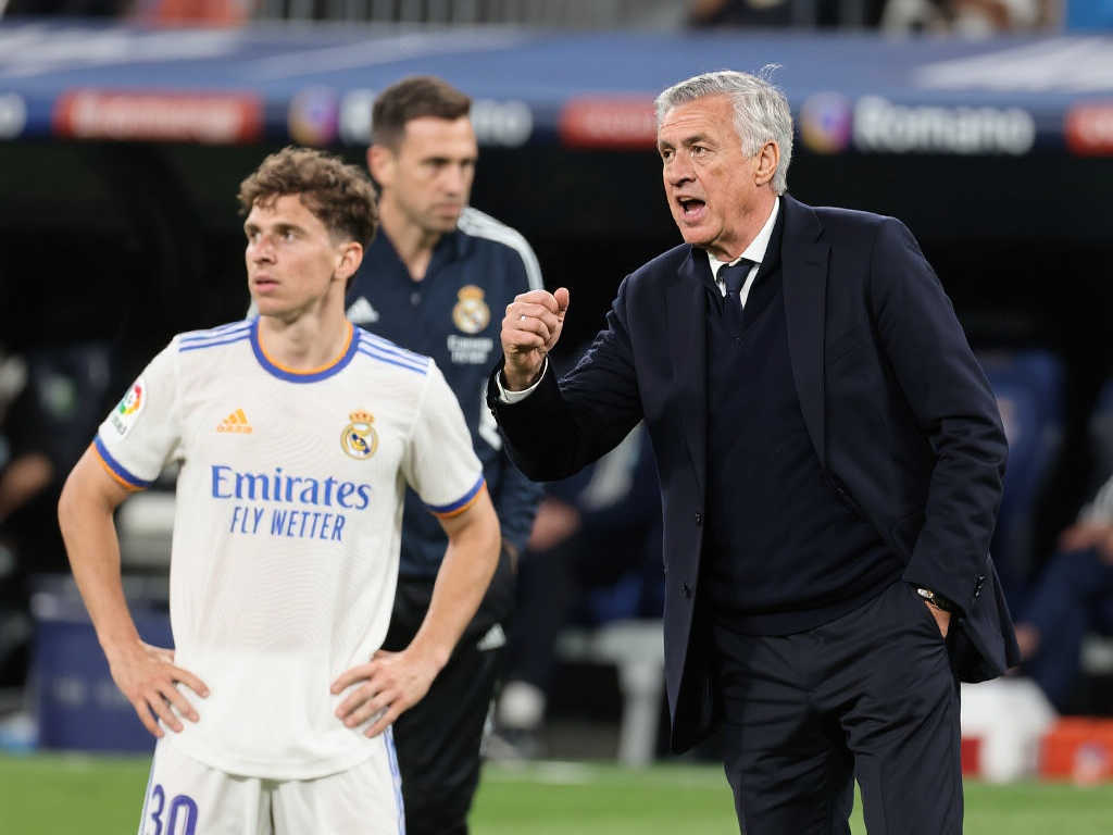 他不仅以实 他不仅以实